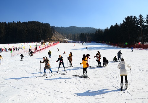 1703059708360046.jpg 2.大通康樂滑雪場.jpg