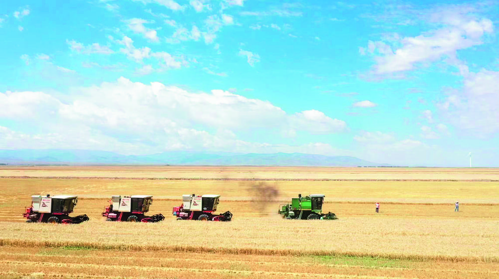 ��2023���҂��@�����^����Ұ���������r����