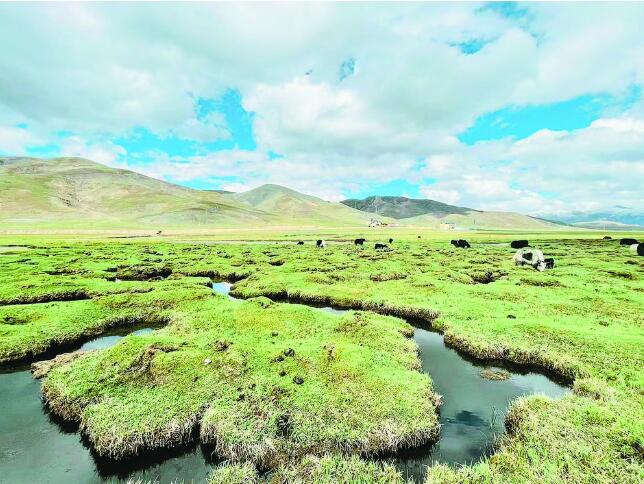 青海日報編輯部評出2023年青海省十大新聞