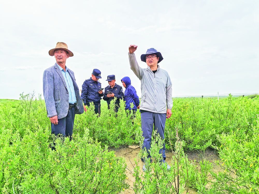 【新時代 新征程 新偉業·推動荒漠化防治 筑牢生態安全屏障】一份承諾 半生守候——記全國防沙治沙先進個人趙雪彬