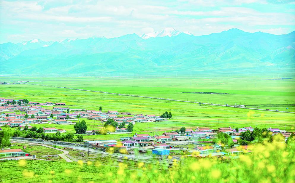 【新時代 新征程 新偉業·高質量發展調研行】鄉村似畫 田園如歌