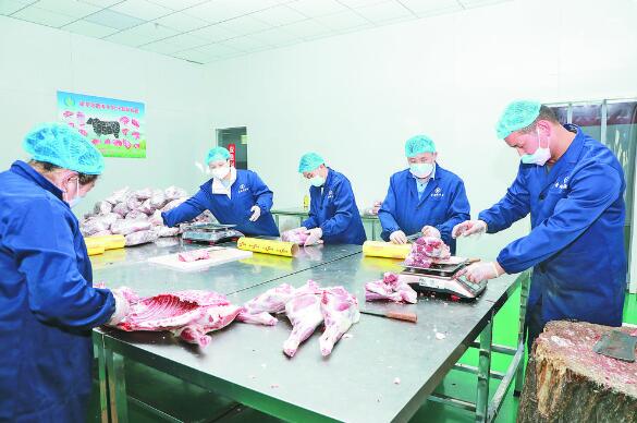 海東民和:工業園稅收突破6億元