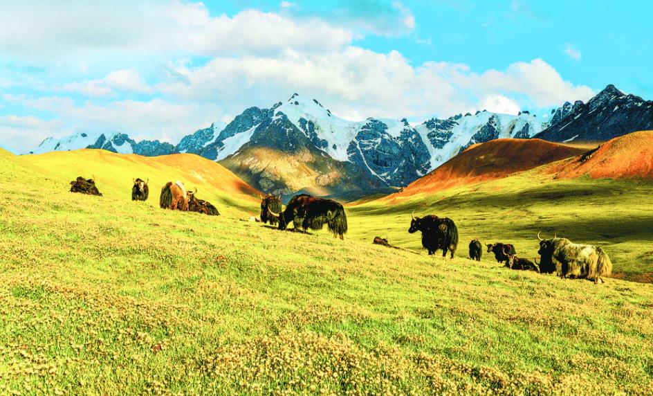 生態(tài)高地展作為 萬物并秀共和諧