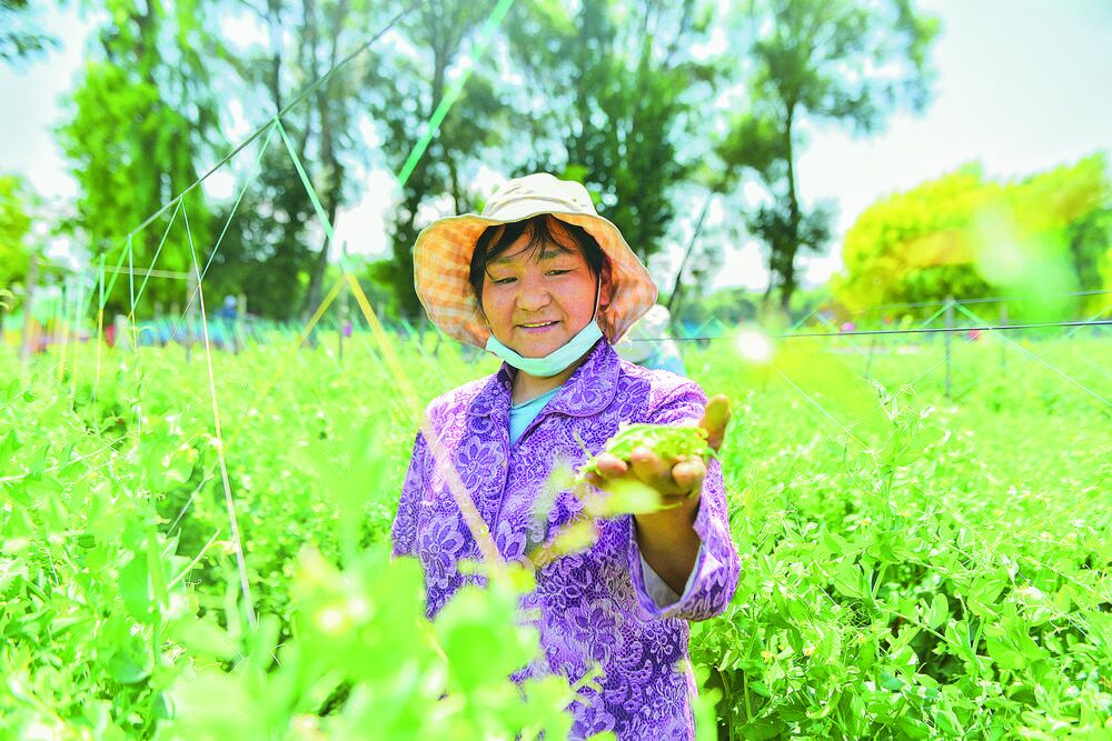 【兩會新觀察】錨定高質(zhì)量“航標(biāo)” 共繪發(fā)展新圖景