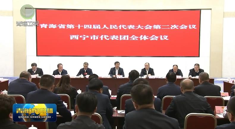 陳剛參加西寧代表團聯組審議時強調 繼續走在前作表率 改進作風狠抓落實