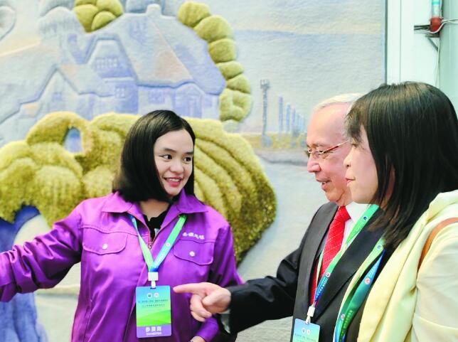 【牢記囑托 感恩奮進】讓藏毯在世界舞臺更出彩