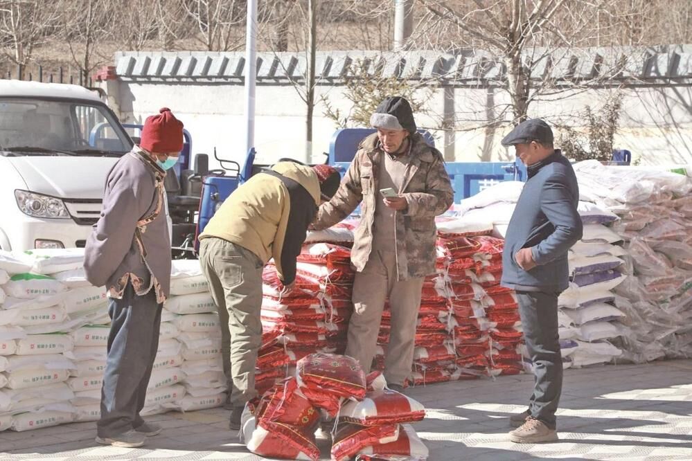 【鄉村振興在青海】玉樹市卡孜村村民收獲年終“大紅包”