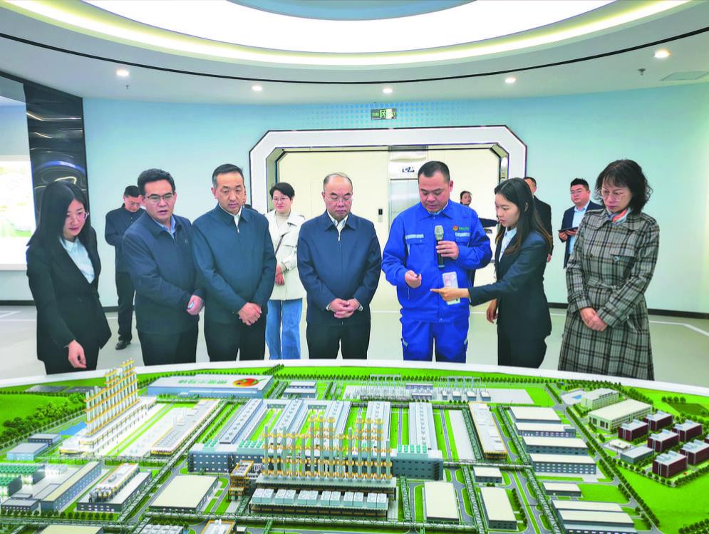 發揮“專”的優勢 為“良法善治”凝聚智慧和力量——省政協社會和法制委員會助力全省社會法治事業高質量發展