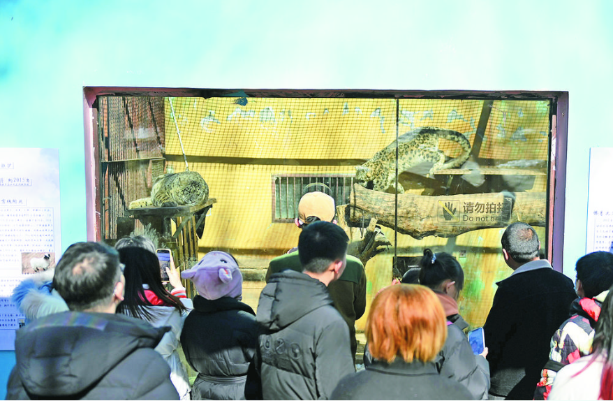 【新春走基層】動物園里過新年