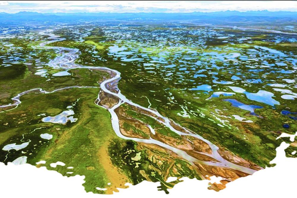 【生態觀察】守護“地球之腎”