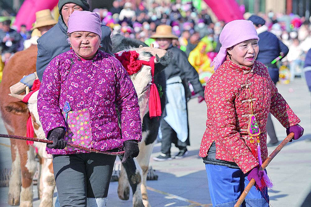 青海:鄉(xiāng)村主題IP路在何方