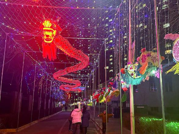 【新春走基層】3000余盞花燈“龍”重“燈”場