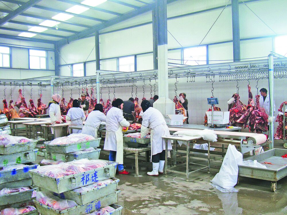 【感黨恩 聽黨話 跟黨走·和諧青海行】祁連草原新牧歌