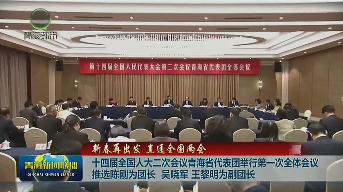 【新春再出發 直通全國兩會】十四屆全國人大二次會議青海省代表團舉行第一次全體會議 推選陳剛為團長 吳曉軍 王黎明為副團長