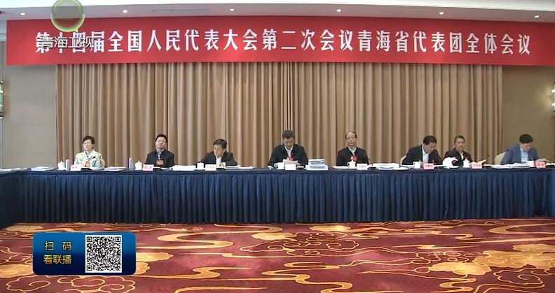 【新春再出發·直通全國兩會】青海代表團舉行全體會議 學習領會習近平總書記參加江蘇代表團審議時的重要講話精神 陳剛發言 吳曉軍主持并發言