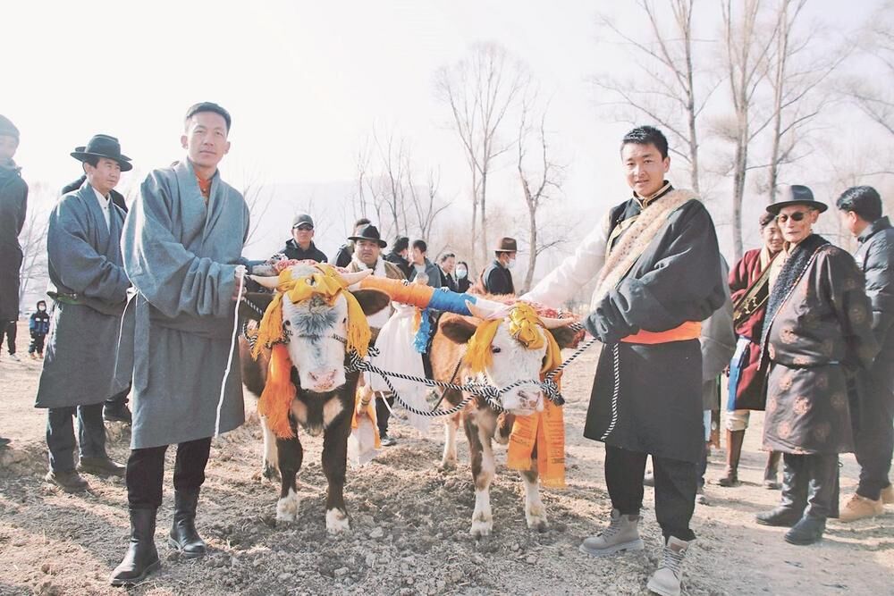 貴德縣拉西瓦鎮開耕啦