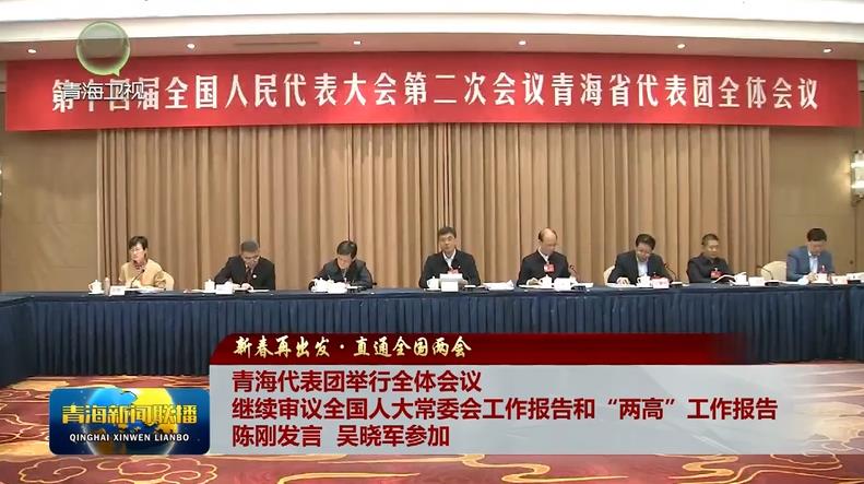 【新春再出發·直通全國兩會】青海代表團舉行全體會議 繼續審議全國人大常委會工作報告和“兩高”工作報告 陳剛發言 吳曉軍參加