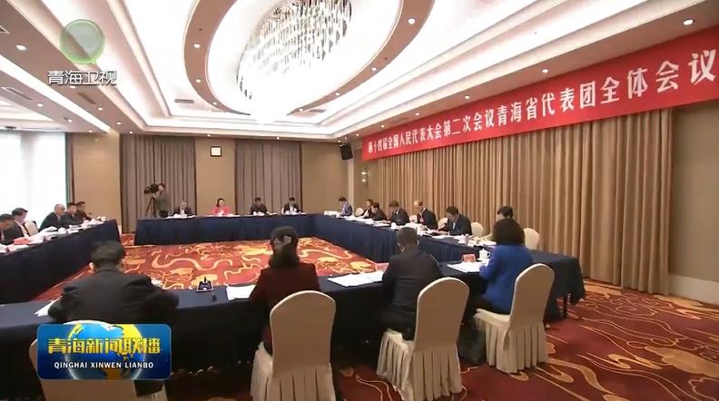 【新春再出發·直通全國兩會】青海代表團審議各項決議草案 陳剛 吳曉軍參加