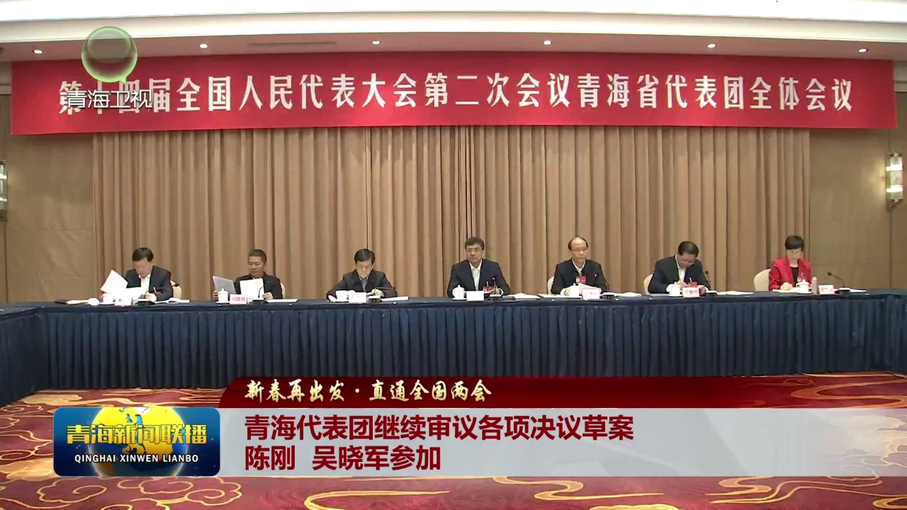 【新春再出發·直通全國兩會】青海代表團繼續審議各項決議草案 陳剛 吳曉軍參加