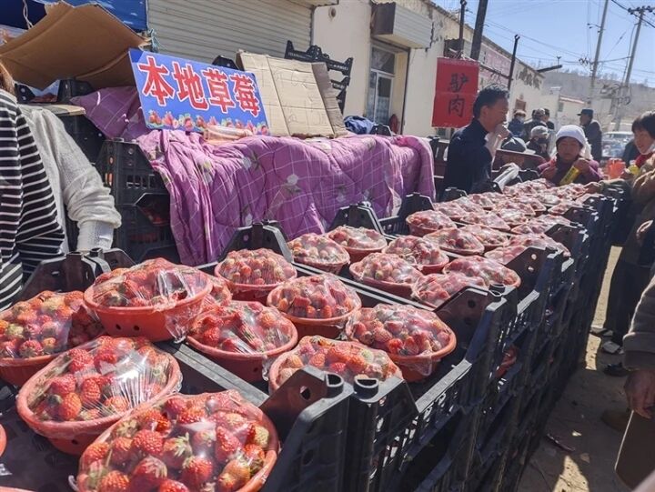 真熱鬧!紅嶺村二月二購銷兩旺