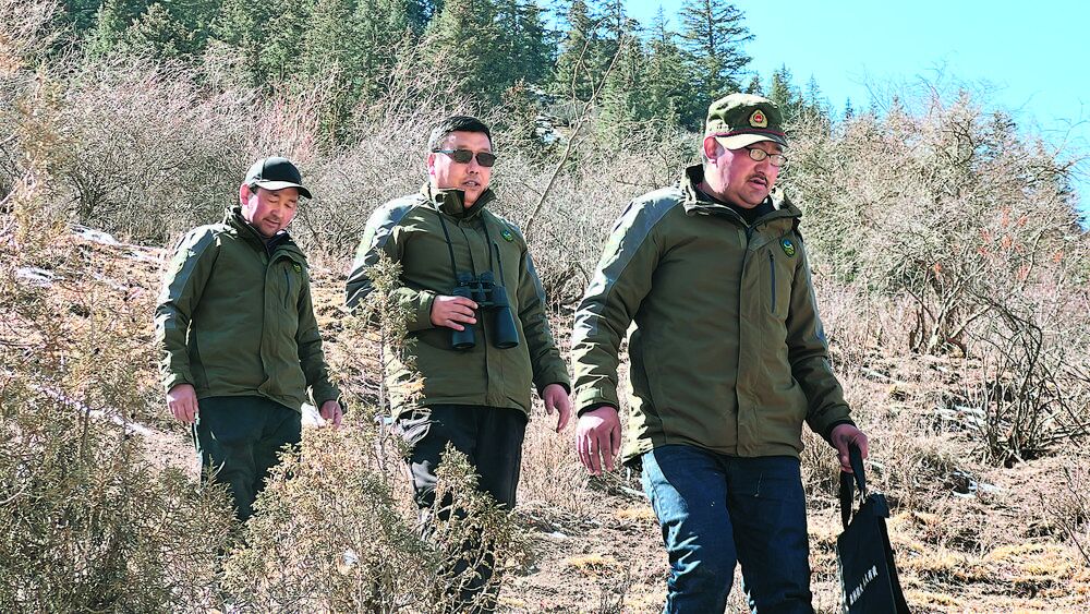 【祖國好 家鄉(xiāng)美】豹子崖下17年的堅守——“春訪祁連山”系列報道①