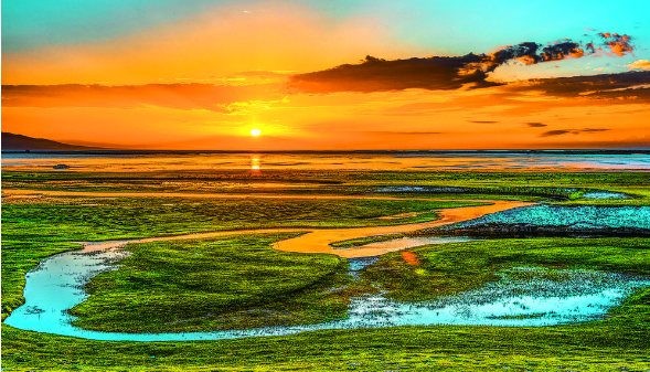 【新時代 新征程 新偉業·高質量發展調研行】青海湖,繪就人水和諧生態畫卷