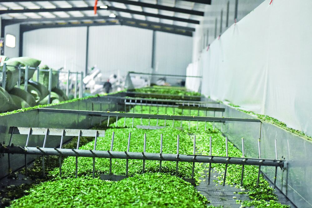 QQ圖片20240320061039