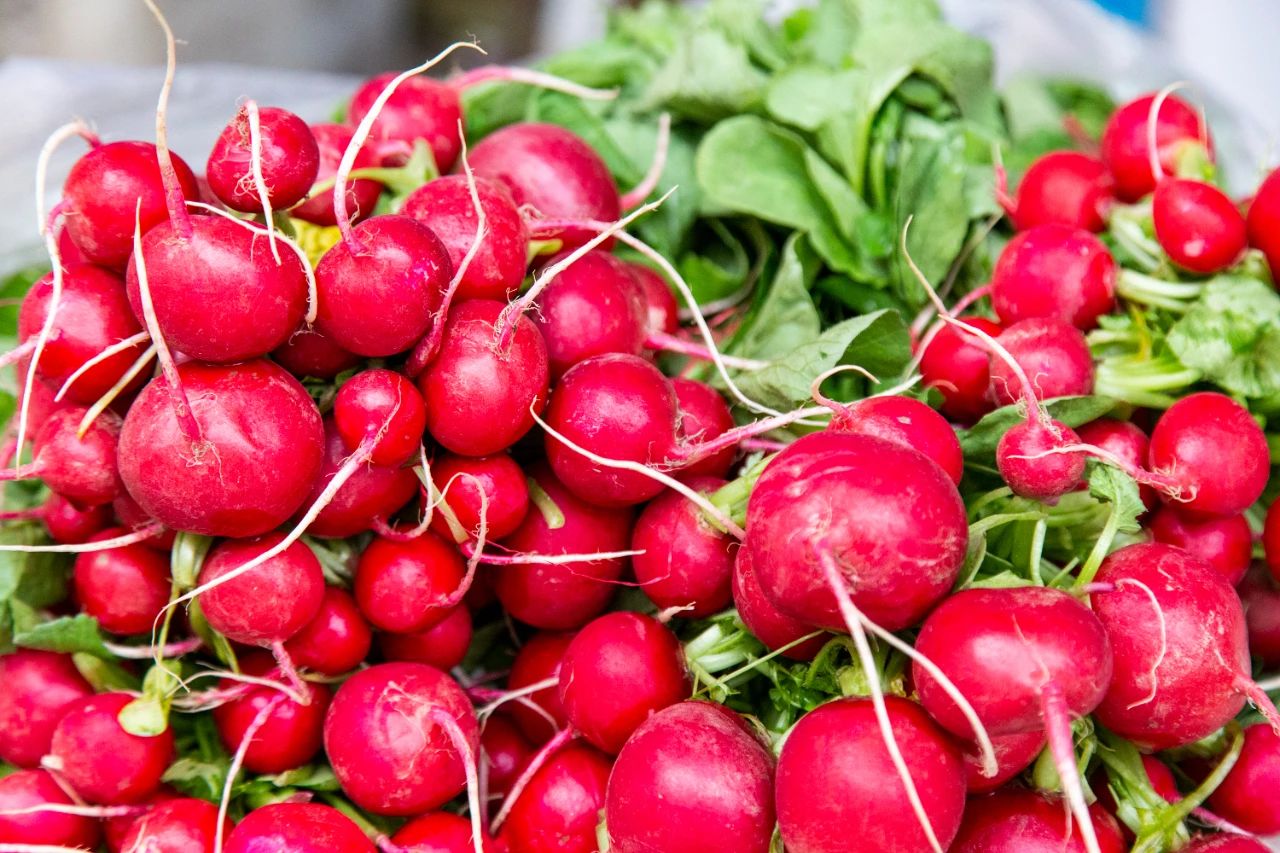 微信圖片_20240321090709