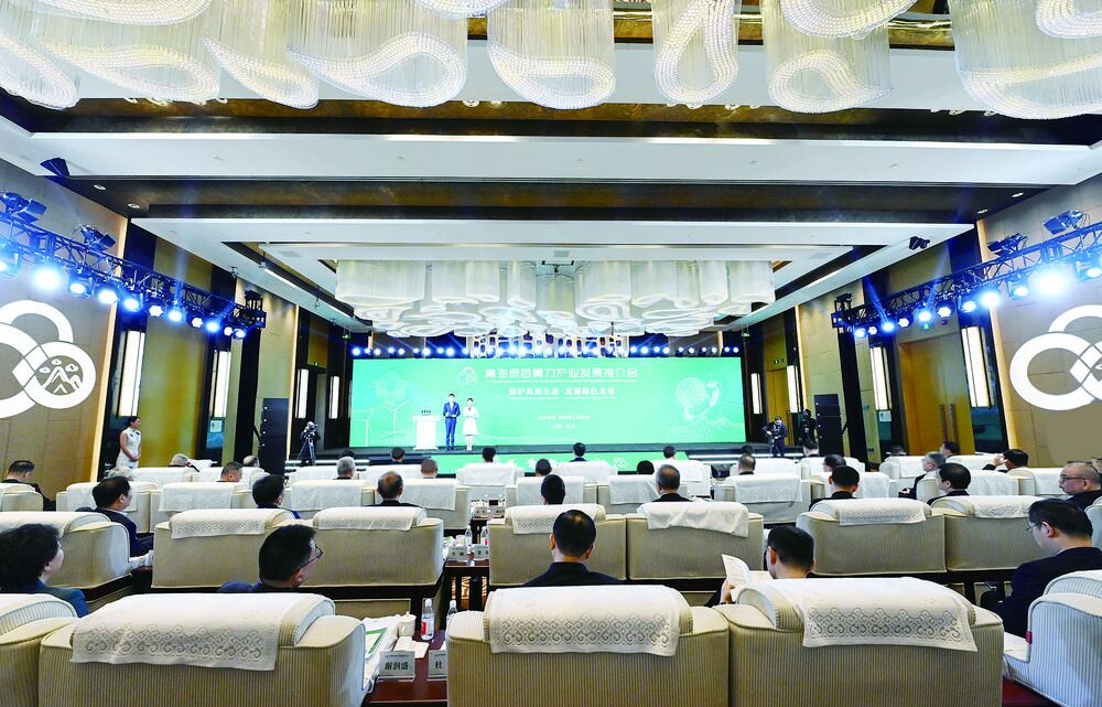 保護高原生態 發展綠色未來 青海綠色算力產業發展推介會在京舉行 陳剛劉烈宏致辭 吳曉軍作推介