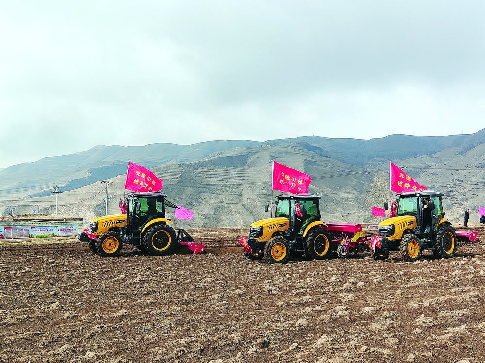 化隆:“統種共富”開啟農村土地種植新模式