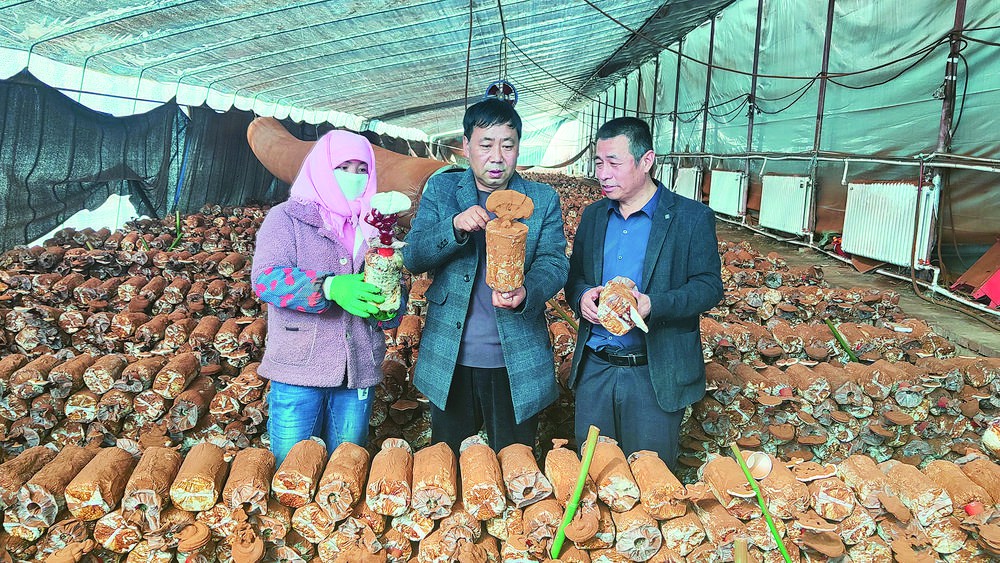 互助:加強(qiáng)“兩新”組織建設(shè) 助力鄉(xiāng)村振興