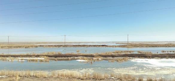 【行進青海看發(fā)展·海西】茫崖人的綠色夢想