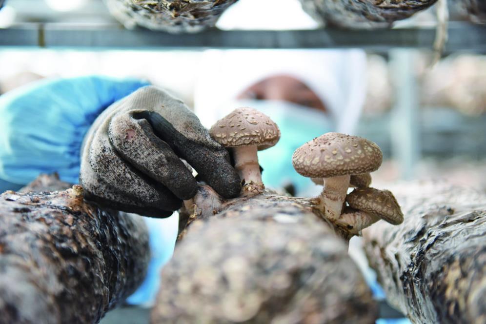 青海如何為民營經濟高質量發展保駕護航?——《關于促進民營經濟高質量發展的若干措施》重點解讀