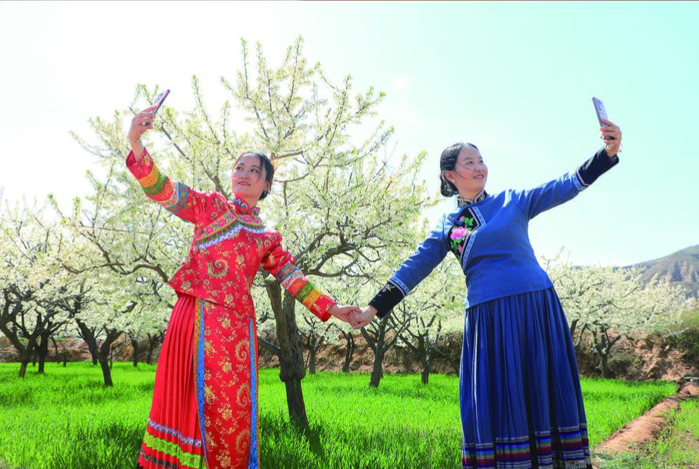 四月芳菲醉游人