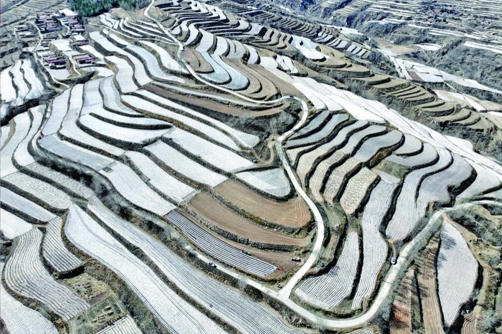 “大地指紋”驚艷土鄉(xiāng)