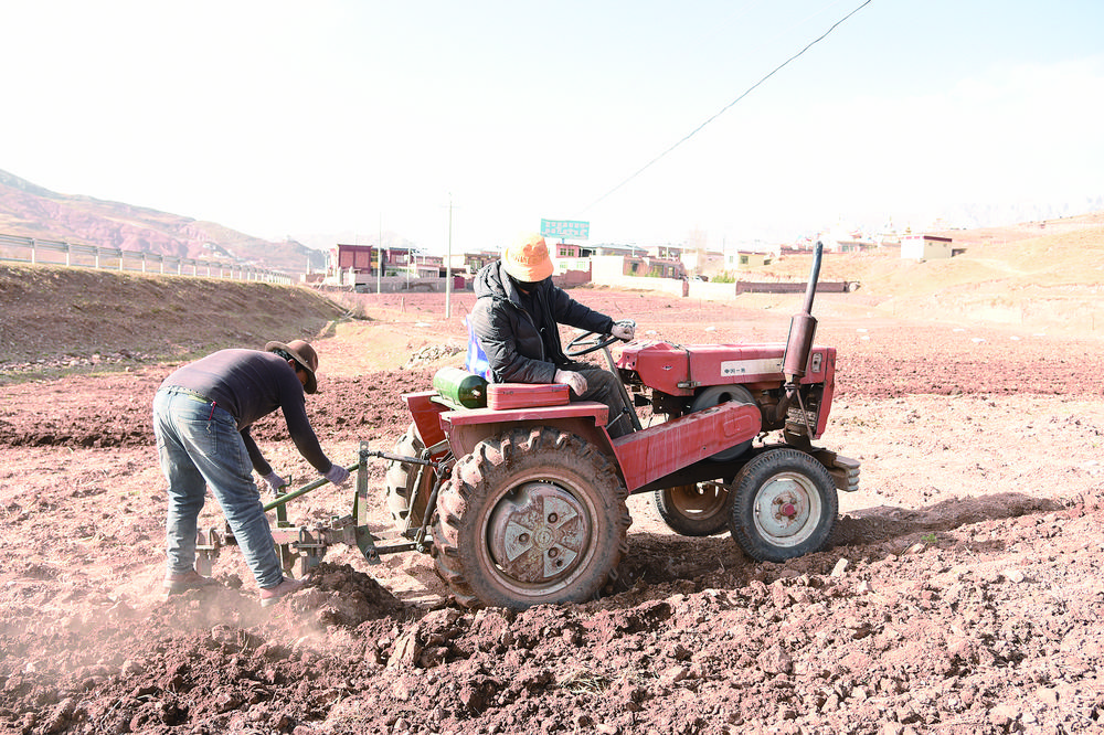 【鄉村振興在青海】萬象“耕”新春意濃
