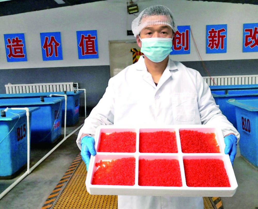 【祖國好 家鄉美】冷水魚魚苗供應 門源如何做到了西北最大