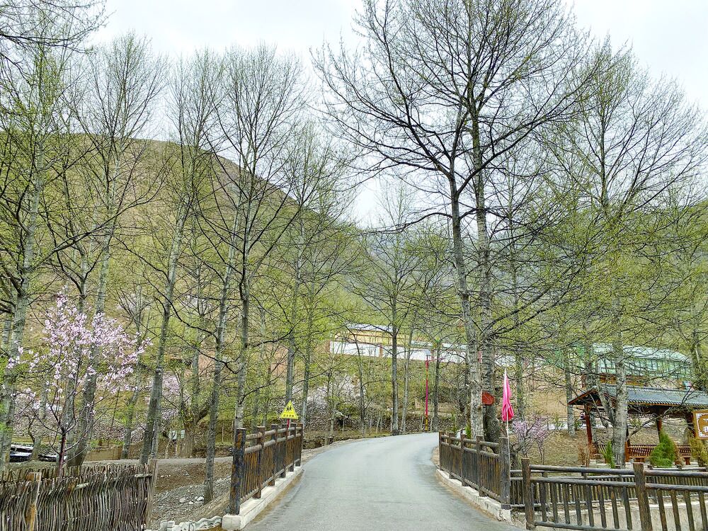 【祖國好 家鄉美】杏花疏影間傳唱團結佳話