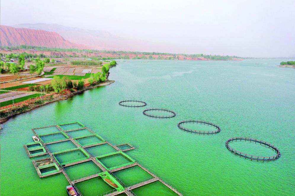 循化:有水激得多業(yè)旺