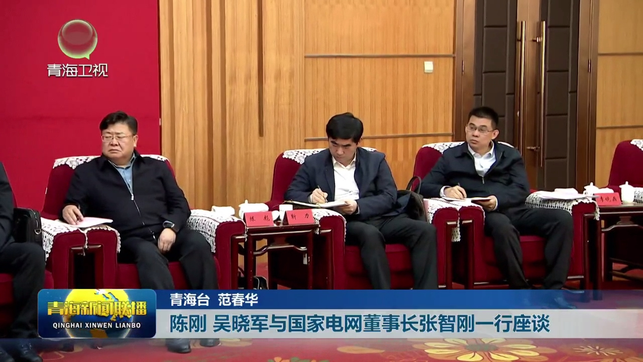 陳剛 吳曉軍與國家電網董事長張智剛一行座談