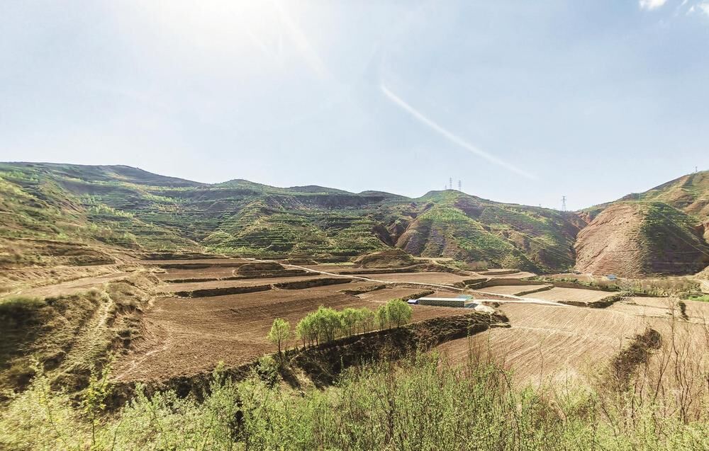 【鄉村振興在青海】鄉村變形記