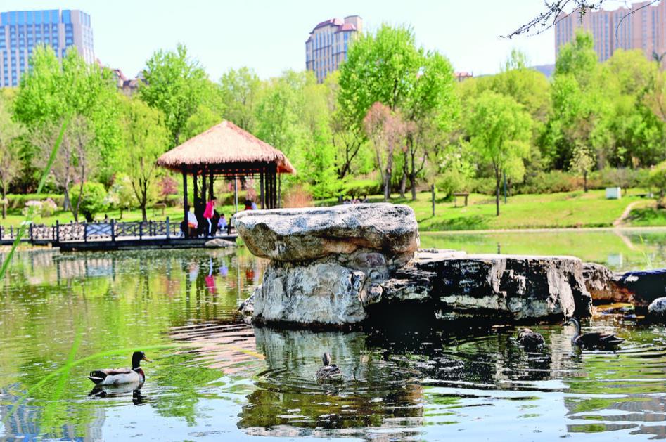 360截圖20240518055522301