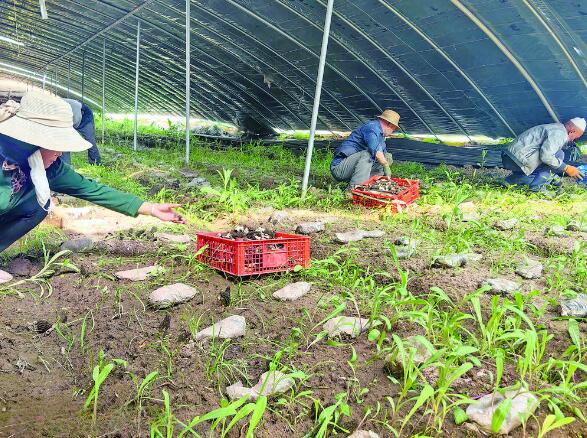 QQ�؈D20240520062942