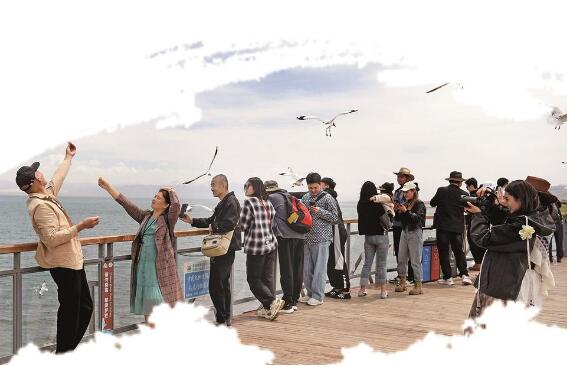 QQ截圖20240520070223