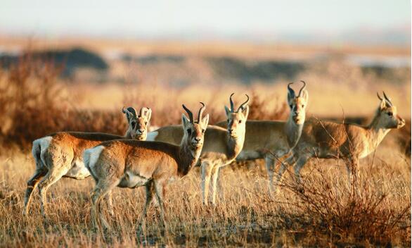 QQ截圖20240520070937