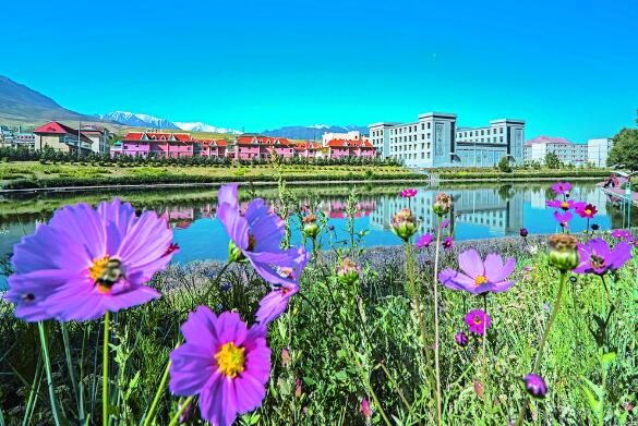 QQ截圖20240520070946