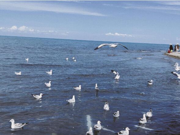 QQ截圖20240520071537