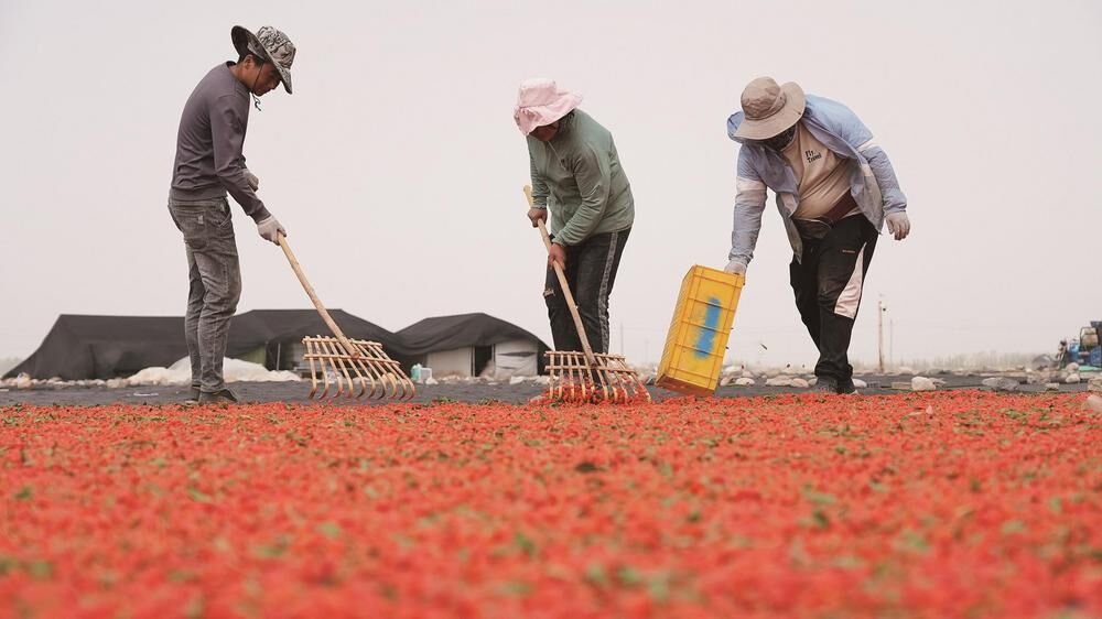 QQ圖片20240521065611