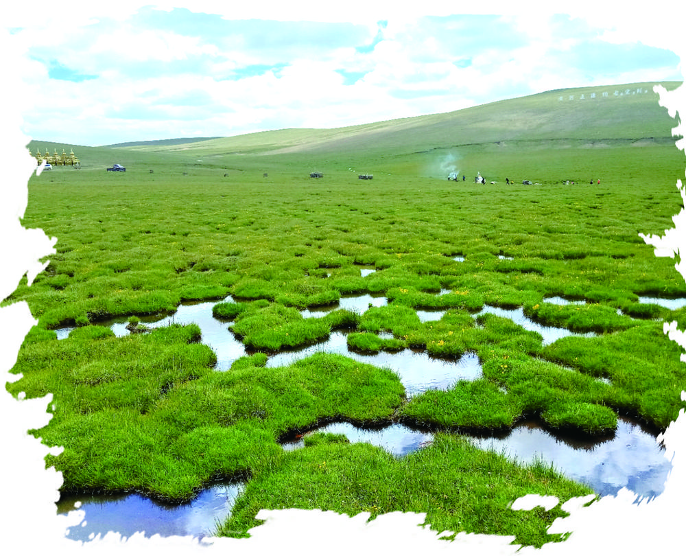 QQ�DƬ20240527055723