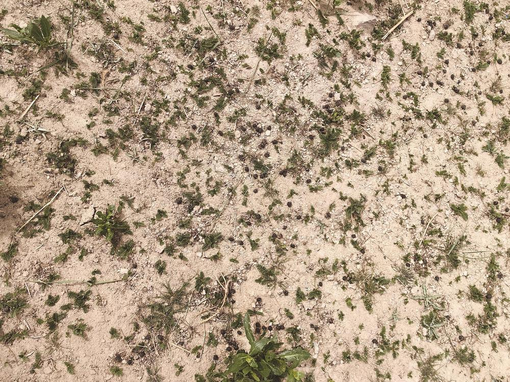 QQ圖片20240527062223